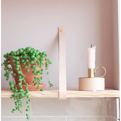 Leren plankdragers + plank